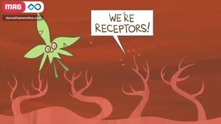 تاثیرات ماریجوانا ( گرس‌ یا گل یا وید) بر مغز