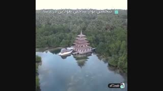 تور فیلیپین ، بلیطش با فلاوینگو