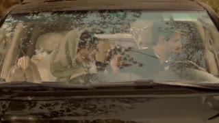 این رویای توست؛ رویات رو ببین