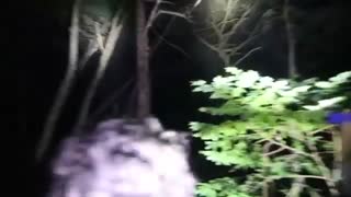 مستند ترسناک‌ جن‌