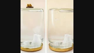 گوی برفی که جونگ کوک به تهیونگ هدیه داد..☜ ت☞  [taekook/vkook/bts/ویکوک/تهکوک/بی تی اس]