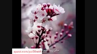 روز مادر مبارک/ترانه روز مادر/موسسه اجاره دوربین در تهرا