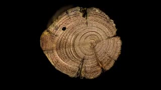 موزیک ویدیو Bedtimes - Woodswimmer ؛ ویژالی زیبا از الگوهای هندسی چوب