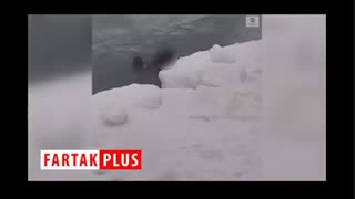 نجات دراماتیک: مردی که از آبهای یخی دریاچه میشیگان بیرون کشیده شد