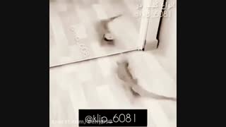حکایت بعضی هامون!!!!!^o^^o^^o^