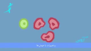 سرطان پایان زندگی نیست