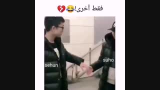 معرفی کاپل های  اکسوو (^_^)