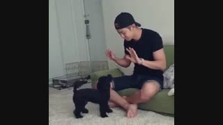 چانـــیـــول ای جونم