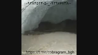 فرید باقری - توصیه به جستجوگران گنج - گنجگرام