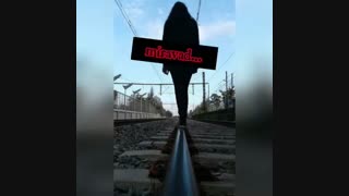 (pedram paliz)