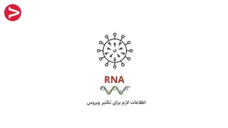 اگر کرونا بگیریم دقیقا چه اتفاقی می افتد؟