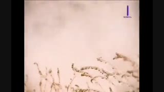 لوازم و قطعات ال نود