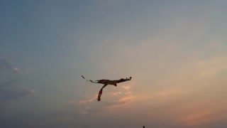 بادبادک بازی و رهاسازی نخ بادبادک بچه ها