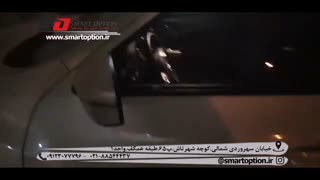 آینه تاشو برقی نیسان جوک - اسمارت آپشن