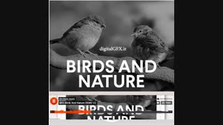 مجموعه صداهای پرندگان و طبیعت Sound Birds and Nature