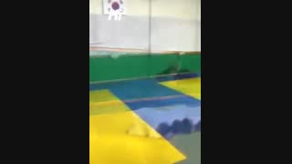 بیخود که بهش نمی گن سنجاب پرنده