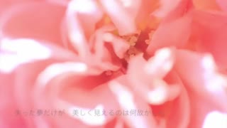 SWEET MEMORIES松田聖子 full covered by 春茶