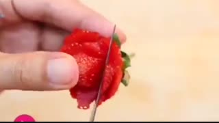 چگونه کودکان خود را به خوردن سبزی و میوه علاقمند کنیم؟