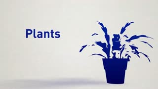 ایده های طراحی فضای سبز