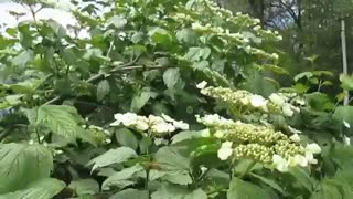 موسیقی فوق العاده زیبا و احساسی بیکلام/31