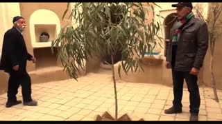 تیزر فیلم برگ جان