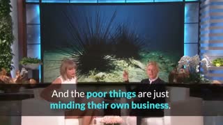 Learn English With Taylor Swift & Ellen