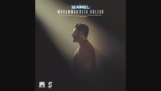 محمدرضا گلزار ساحل