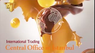 شرکت بازرگانی در ترکیه