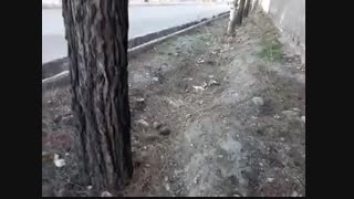 مدارس جوانه ها مشهد تدریس مجازی فصل 11 علوم (بکارید و ببینید) سرکار خانم خوبی علوم پایه سوم