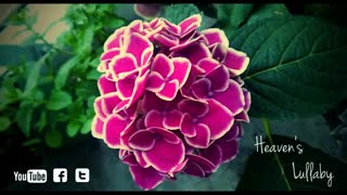 (Heaven's Lullaby (Beautiful Piano Song