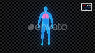 دانلود فوتیج های HUD پزشکی با موضوع ویروس و عفونت و کرونا