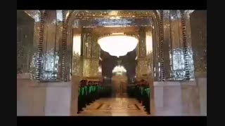 نماهنگ: زیارت کبوترانه حرم مطهر رضوی در آغاز سال ۱۳۹۹