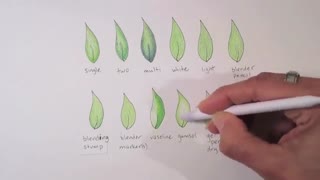 ✅ روش‌های ترکیب رنگ‌ها در مدادرنگی