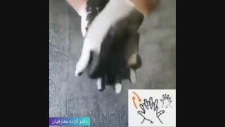 فیلم اصول شستشوی دست