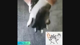 شستشوی اصولی دست برای پیشگیری از کرونا