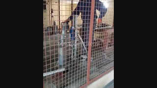 ارومیه / کرگیری از دال بتنی