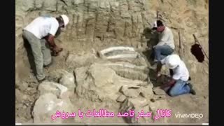 میراث فرهنگی چیست ؟ - مطالعات اجتماعی هفتم