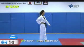 فرم یک تکواندو تگوگ ایل جانگ