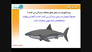 مدارس جوانه های مشهد خانم مزینانی تدریس علوم صفحات 89 تا 94 پایه سوم شعبه اول