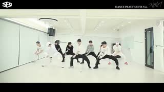 sf9_now or never practice