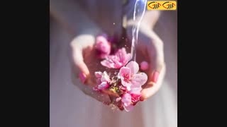 جواب چالش ناشناس 2