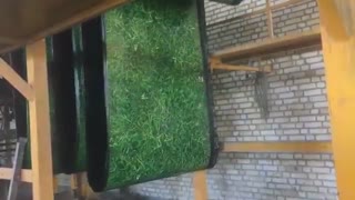 ایزوگام طرح دار چمنی تولید شده در کارخانه ایزوگام هیرمان - 08644231818