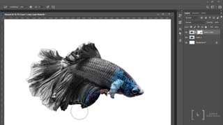 آموزش رایگان فتوشاپ : DOUBLE EXPOSURE در فتوشاپ لرنینگ24 - l24.ir
