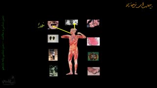 13.زمین._ازوجی.نمونه_دولتی_عفاف