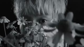 موزیک ویدیو Flower از Code Kunst