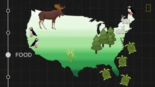 حقیقت متان و اطلاعات در مورد آن